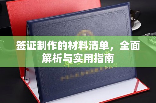 修水签证制作的材料清单，全面解析与实用指南